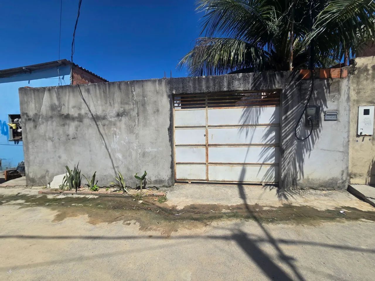 Foto - Manaus - Flores