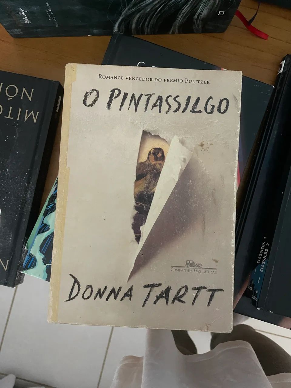 O pintassilgo 