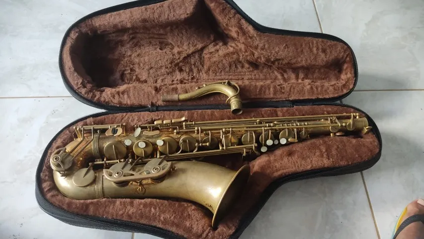 sax tenor dolphin