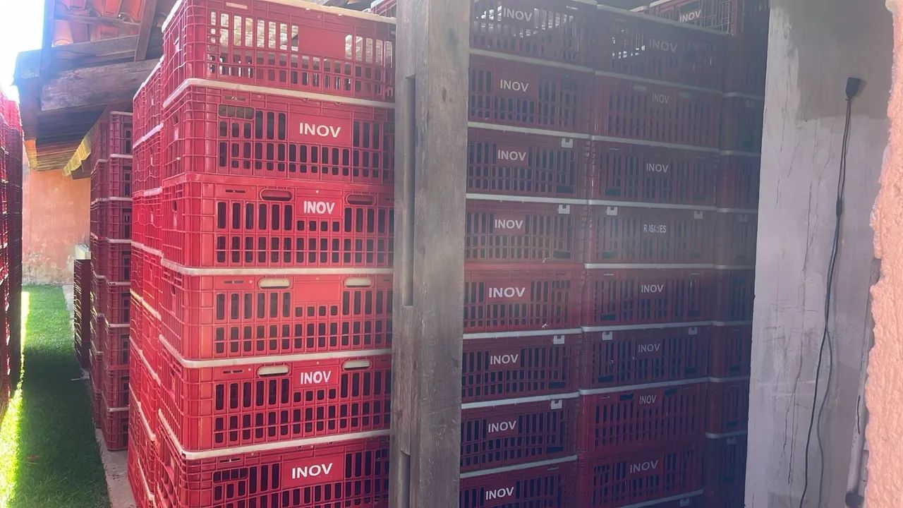 Caixas para transportar frango tampo alto  - Foto 2