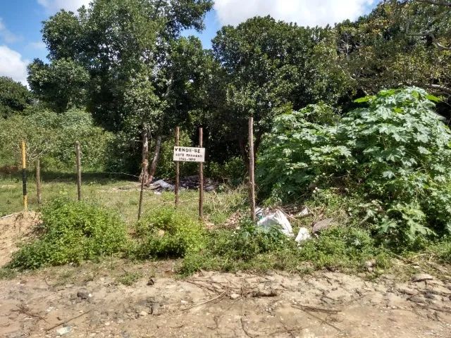 Terreno 570 m2 - Foto 4