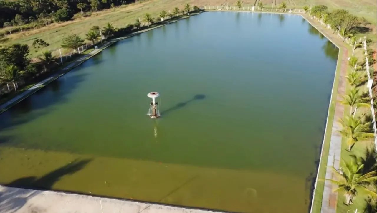 Sítio de Luxo 12 alqueires em Bela vista-Go - Foto 3