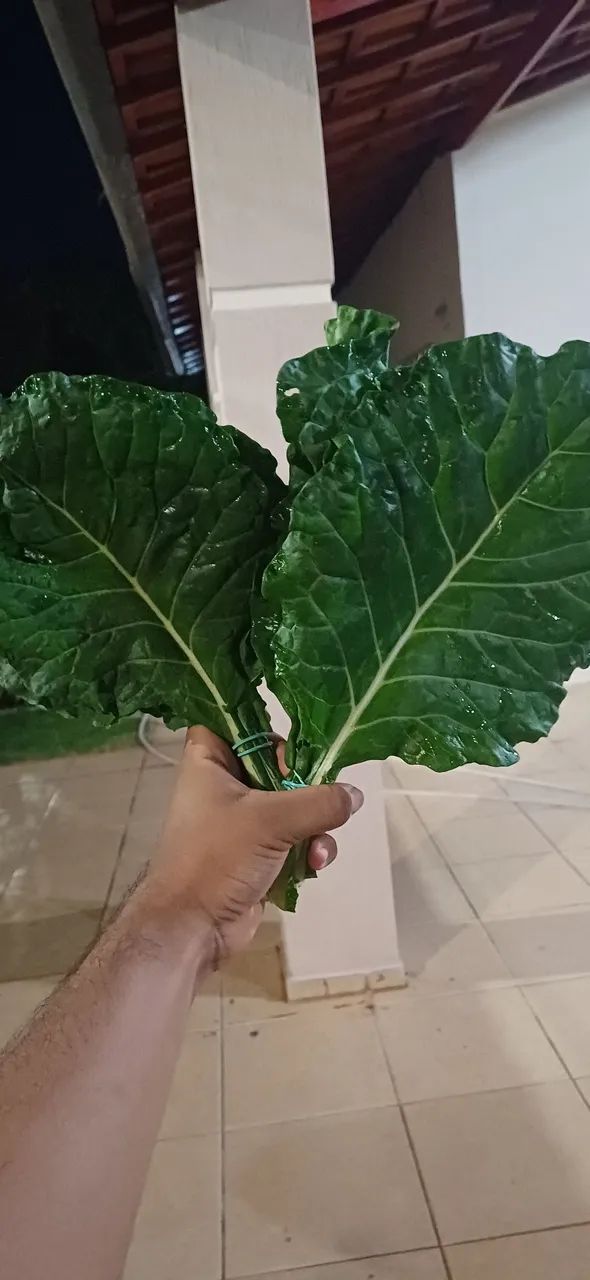 Folhas de Couve super saudáveis