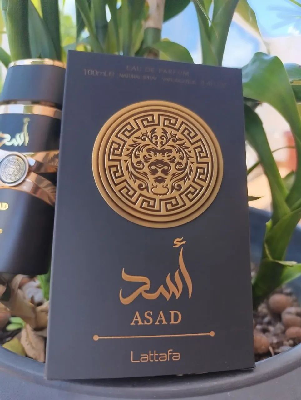 Perfume Asad Lattafa - Masculino - 100ml - Foto 5