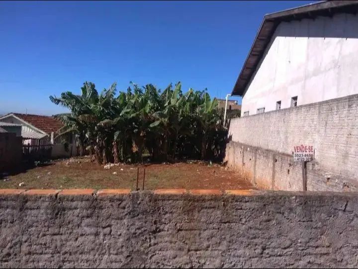 Terreno 360 metros Cornélio Procópio  - Foto 6