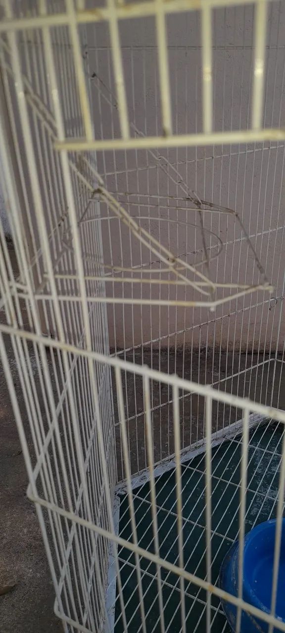 Viveiro pássaros  - Foto 4