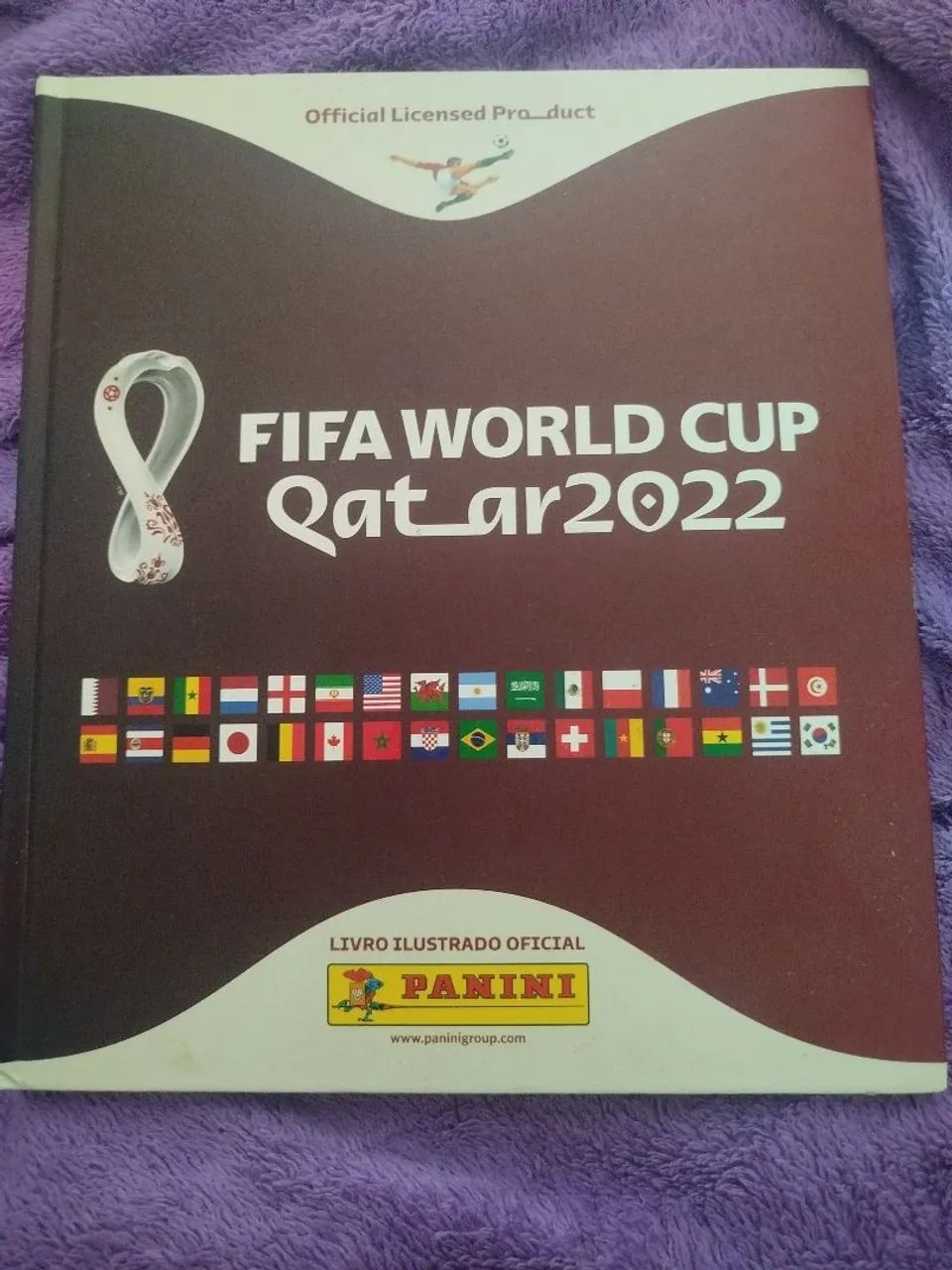 Álbum Copa 2022 incompleto 