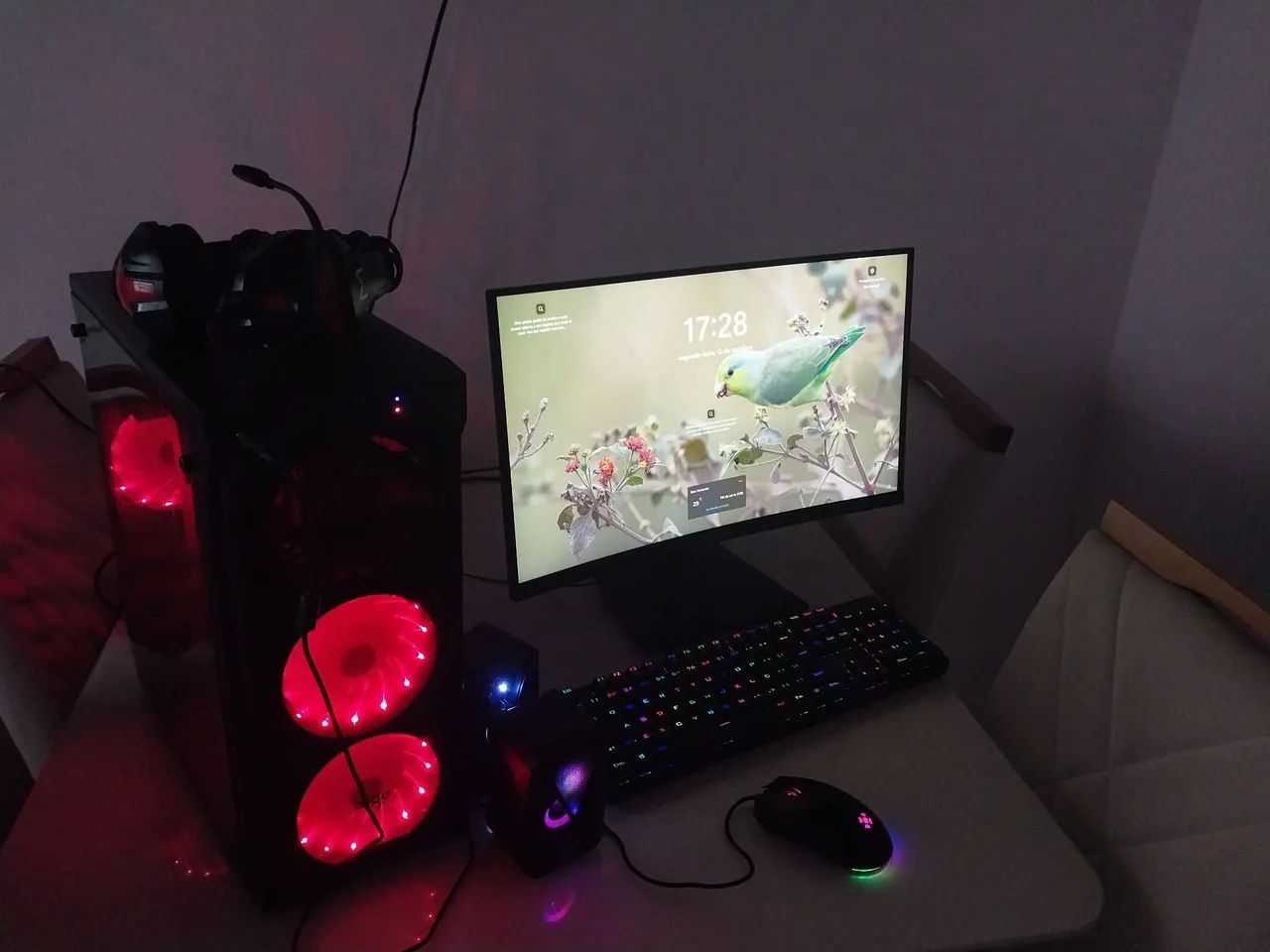 Pc gamer 