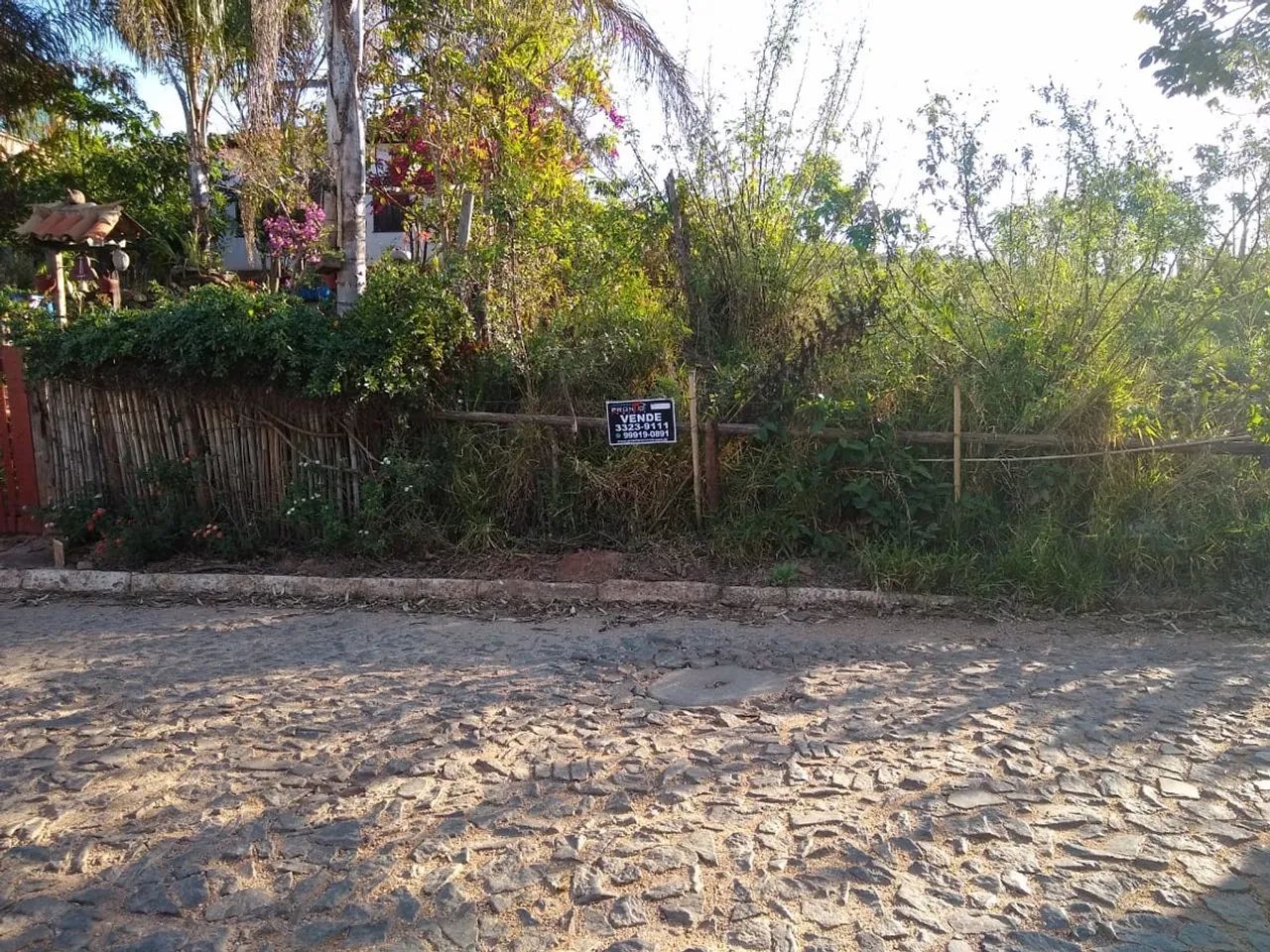 LOTE NO BICHINHO - Foto 3