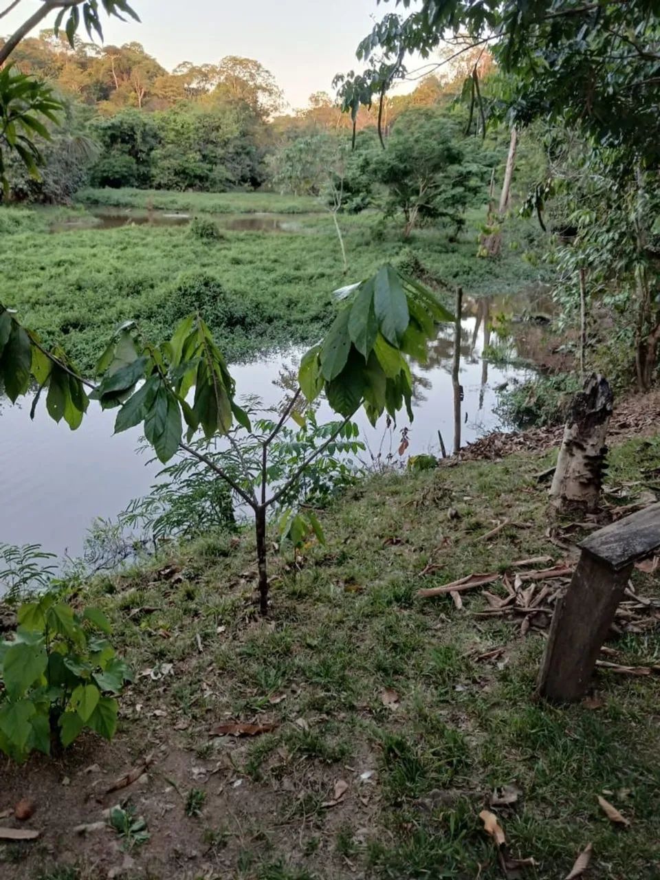 Chácara a venda 