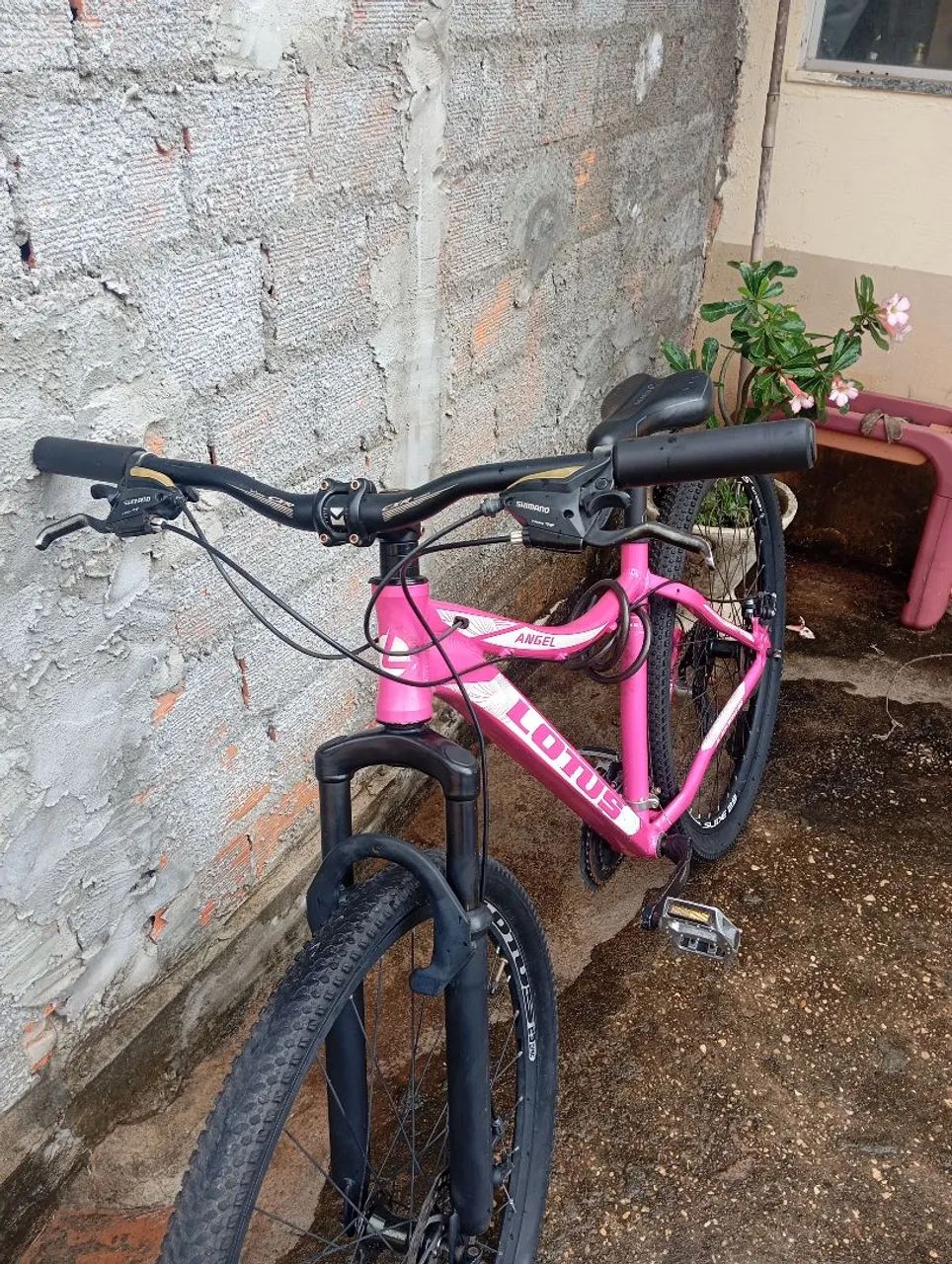 Bicicleta Lotus Angel Aro 29 rosa (+capacete de brinde) - Foto 3