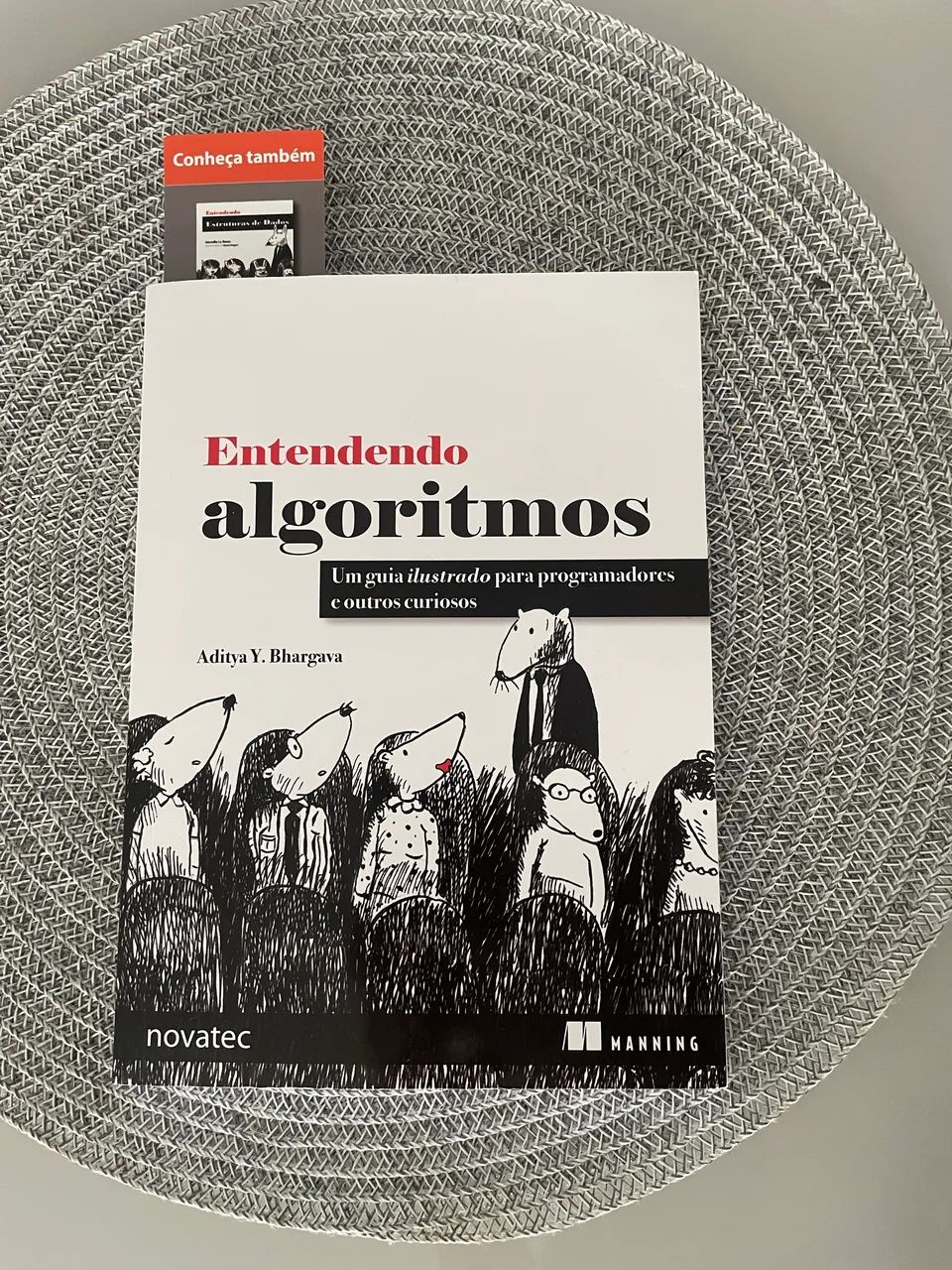 Livro Entendendo algoritmos