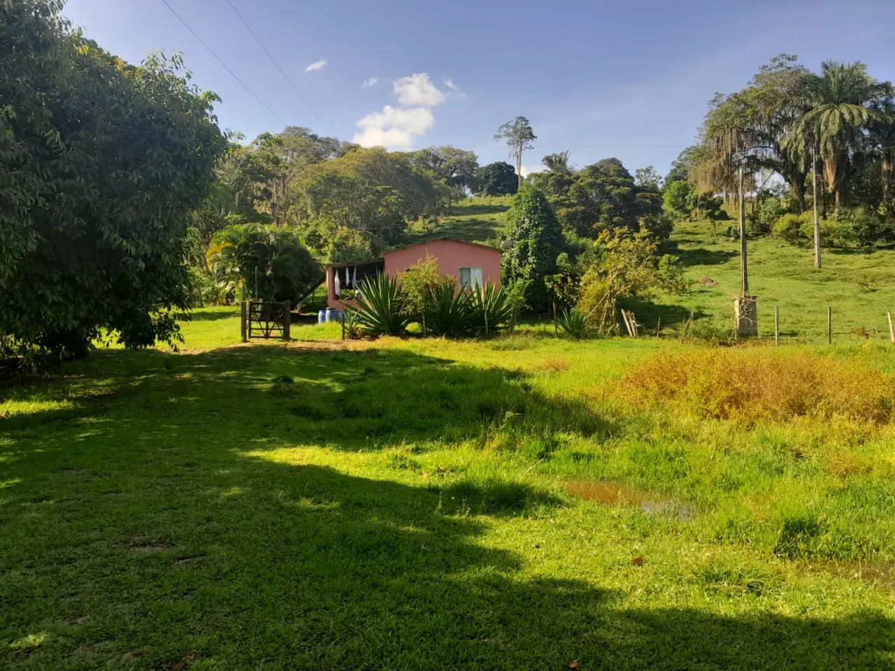 Vendo Fazenda em Itapé - BA - Foto 2