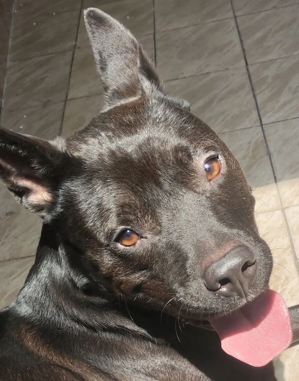 doação - Foto 4