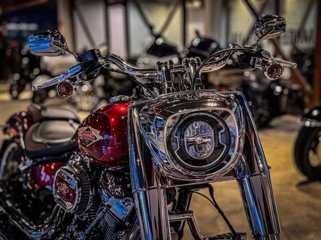 Harley-Davidson Fat Boy 120th - Foto 3