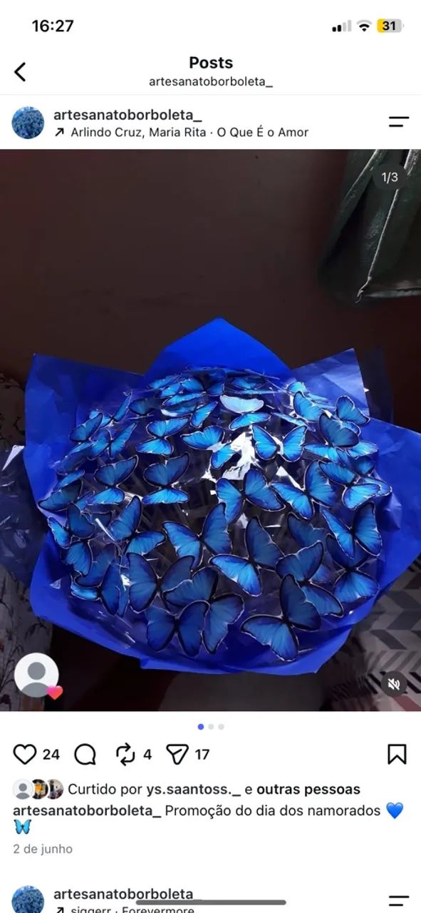 Buquês de borboleta