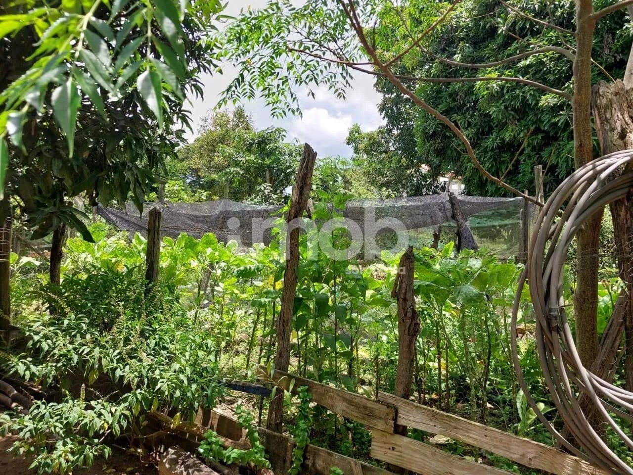 Chácara pra venda - Capão Bonito - Foto 5