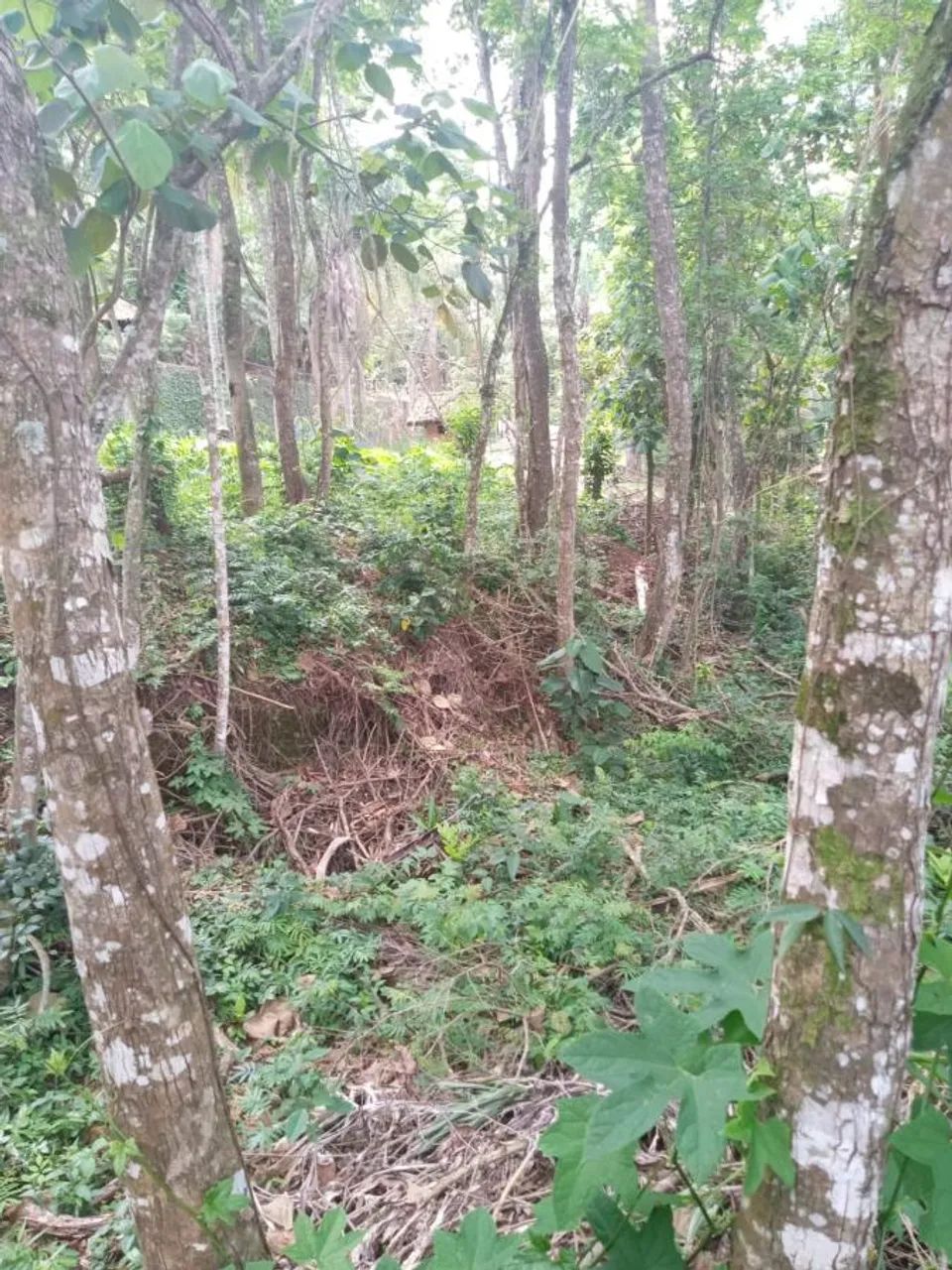 Terreno em Condomínio para Venda em Jandira, Parque Nova Jandira - Foto 5