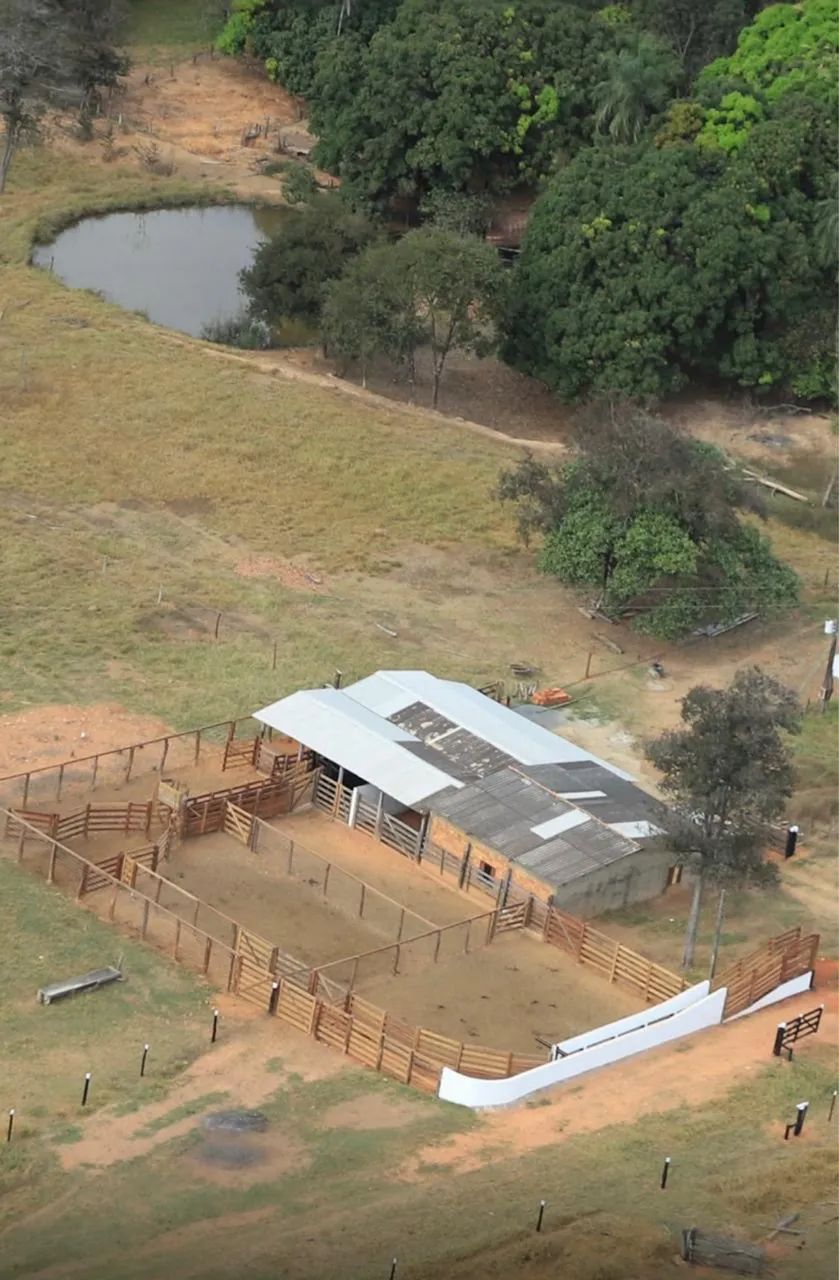 Fazenda de 21 alq em São Francisco-Go  - Foto 5