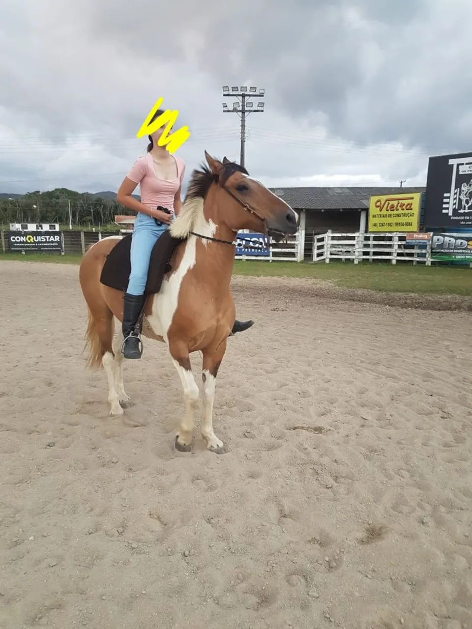 Cavalo Tobiano - Foto 3