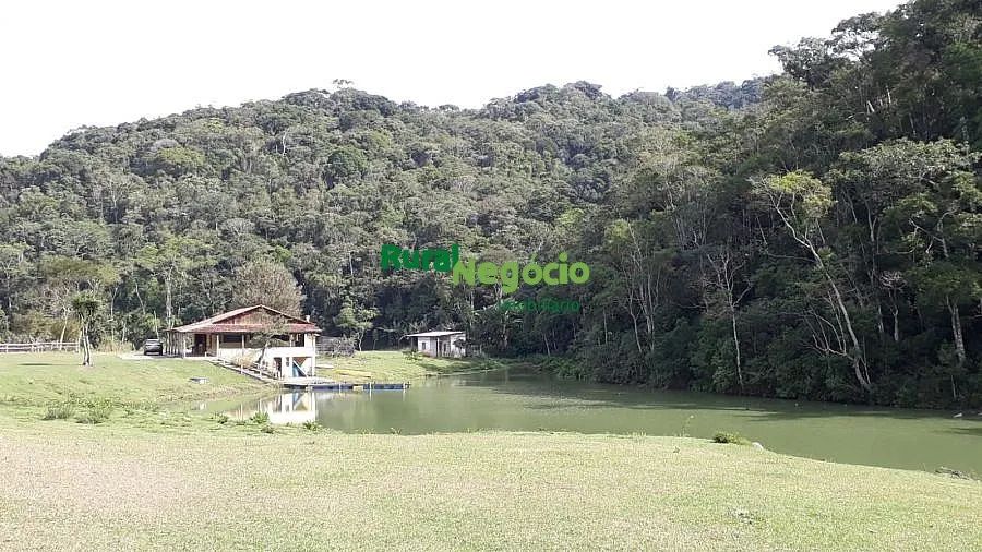 FAZENDA FORMADA COM LAGOS E ALTITUDE EM PARAIBUNA-SP - Foto 5