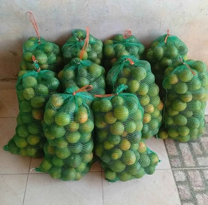 Peça já sua saca de laranja  - Foto 4