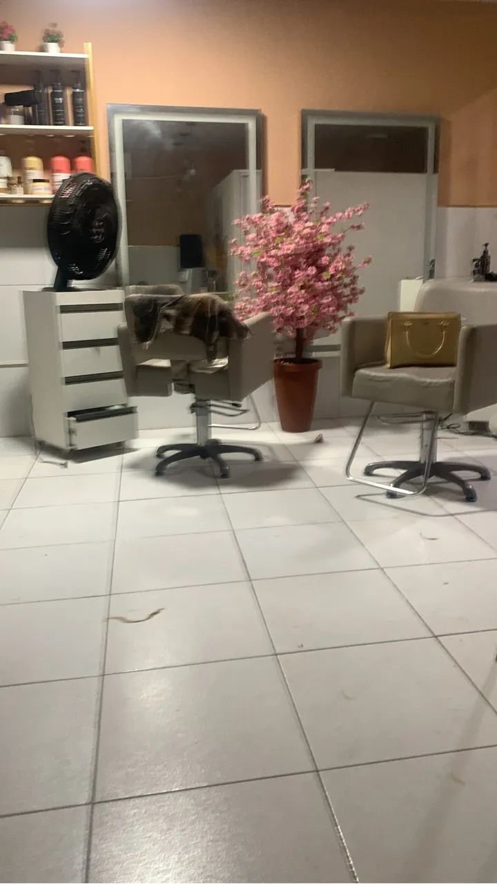 Studio flor d liz     Pra vender Hoje 17 mil  com tudo