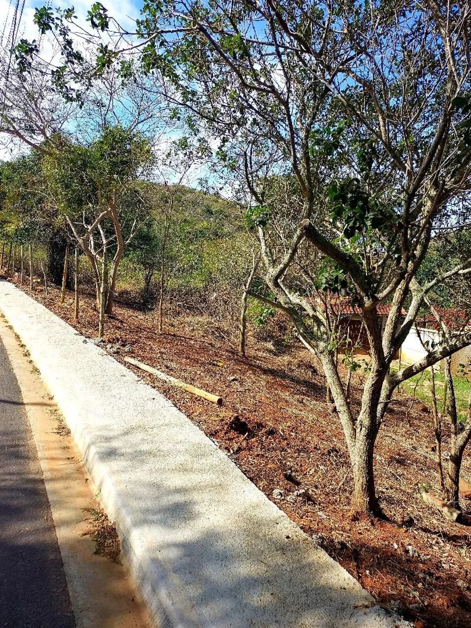 Foto - São Pedro da Aldeia - Nova São Pedro