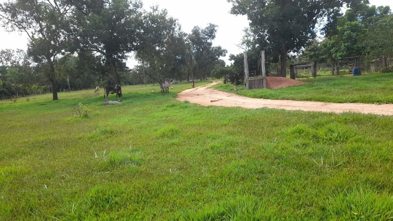 Chácara região da areia - Foto 3
