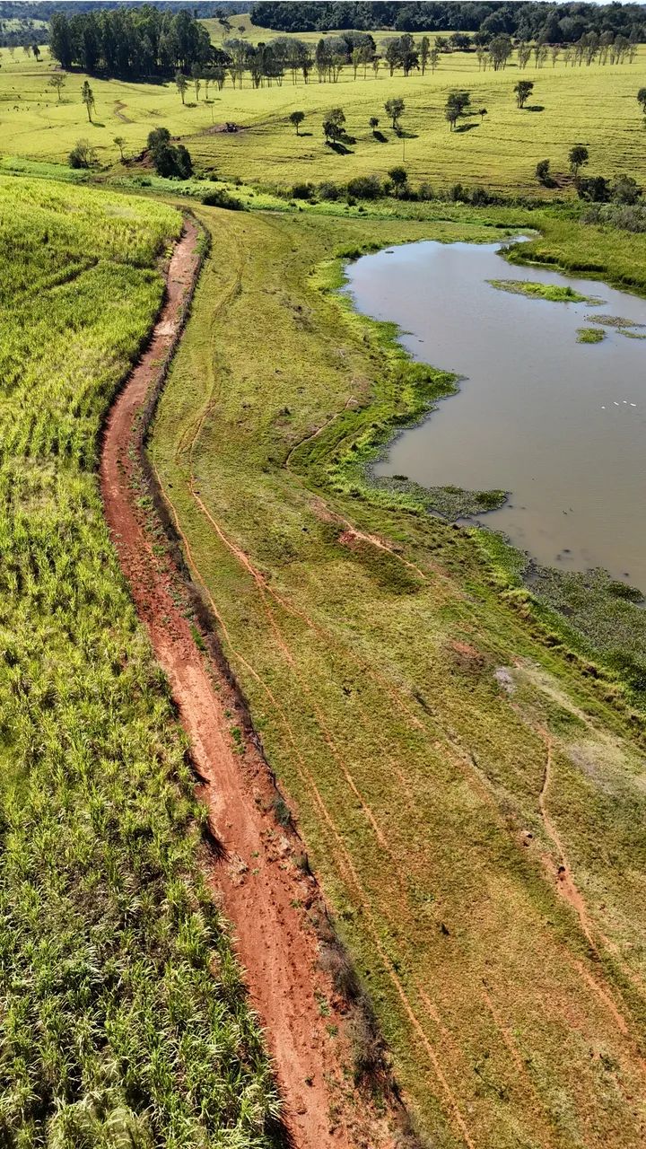 Fazenda próximo Goiânia-go - Foto 5