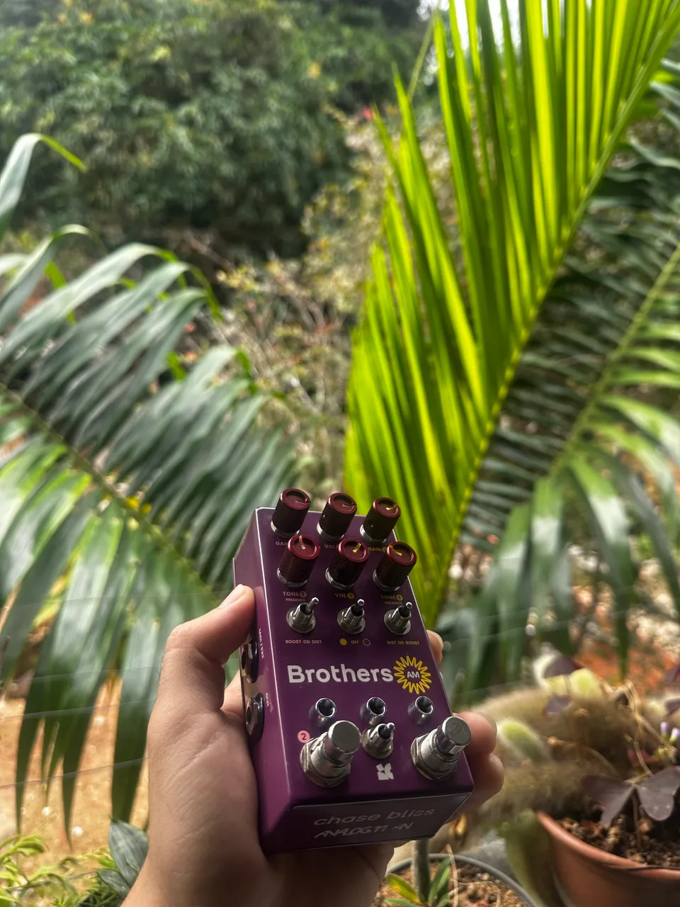 Jhs The Bonsai 9-way Screamer Pedal Overdrive para guitarra verde