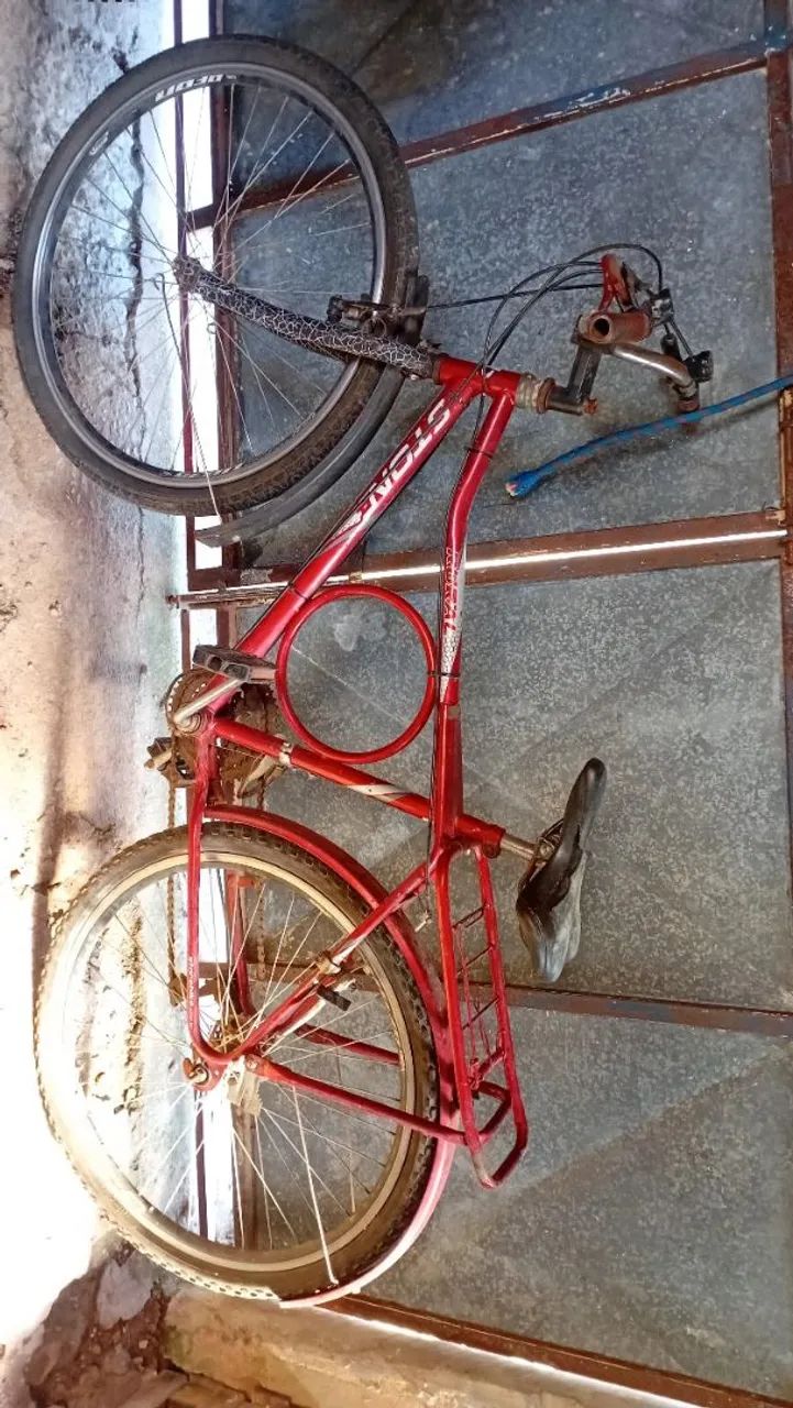 Bike monarke 