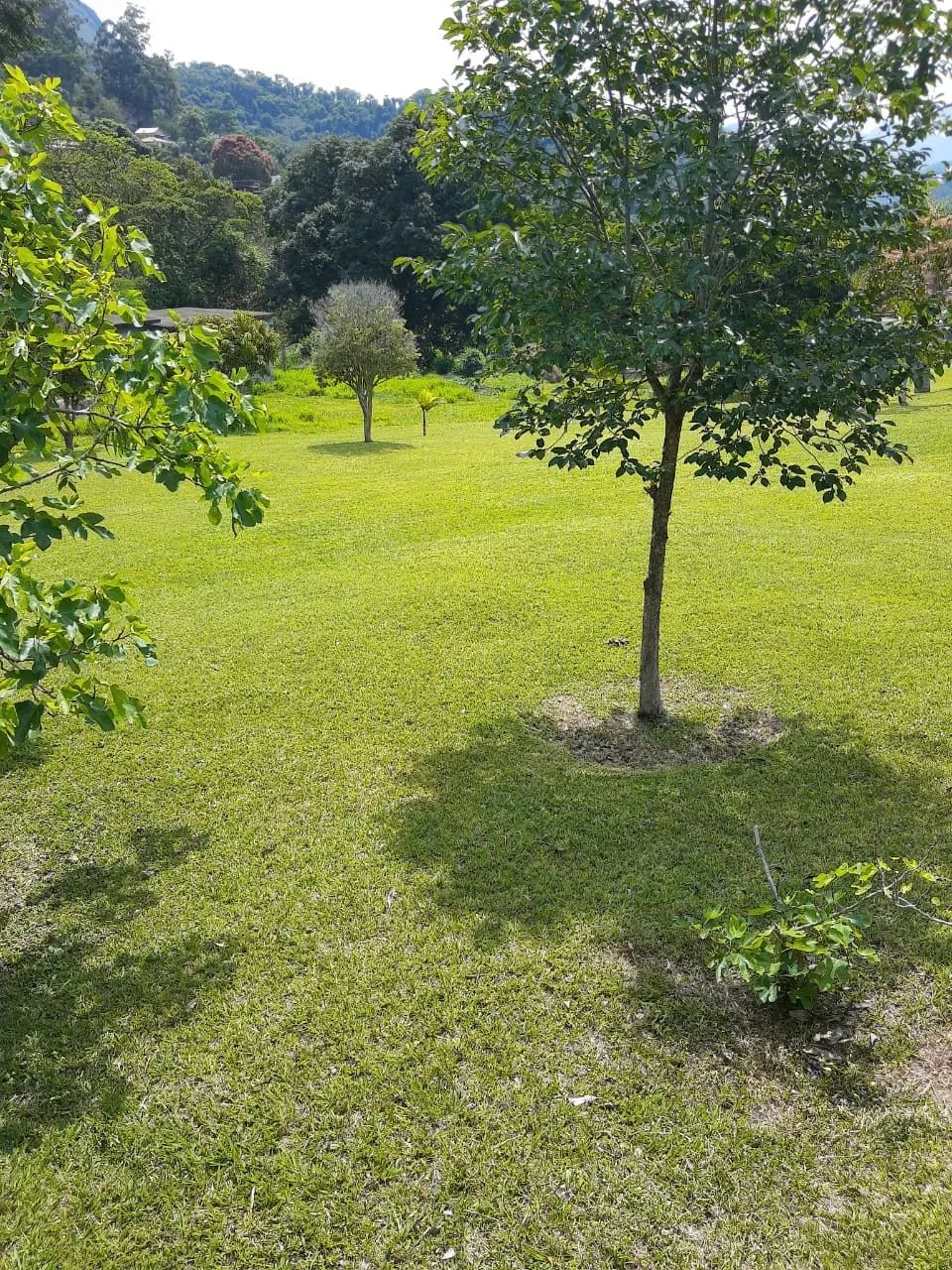 Sitio para Venda no Bonfim - Foto 3