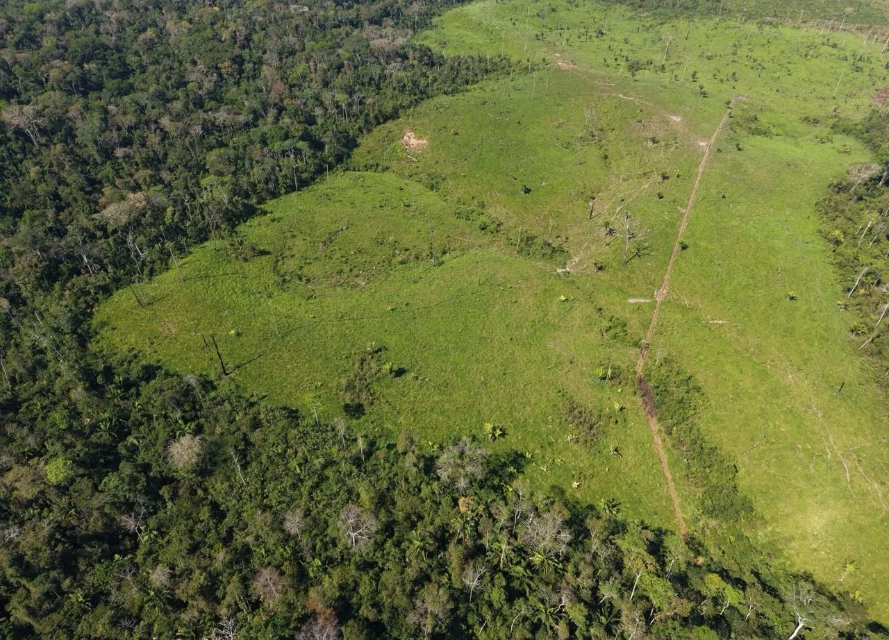 TERRA À VENDA EM FEIJÓ  - Foto 3