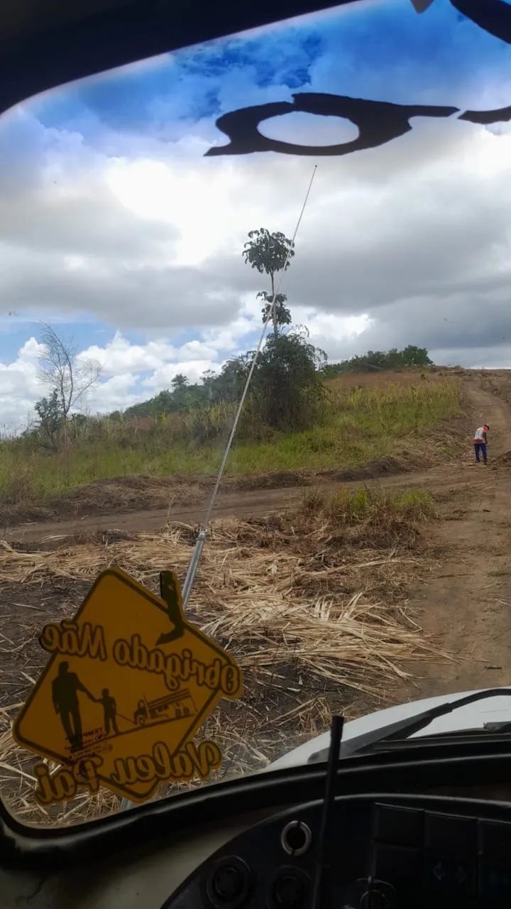 Arrendo 80 hectares de terra  para criação de gado entre outras culturas 