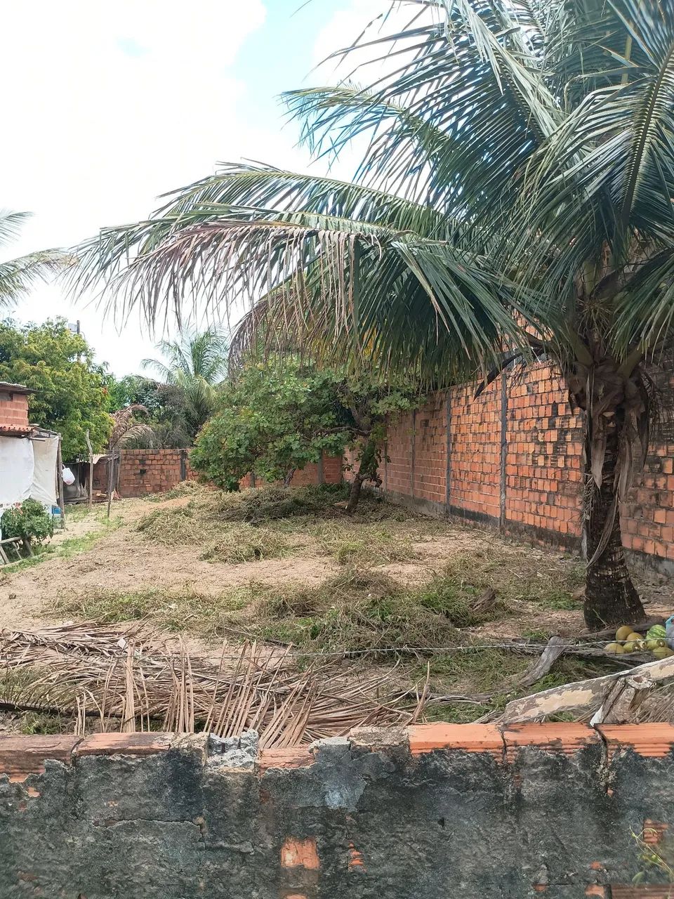 Foto - Camaçari - Parque Verde