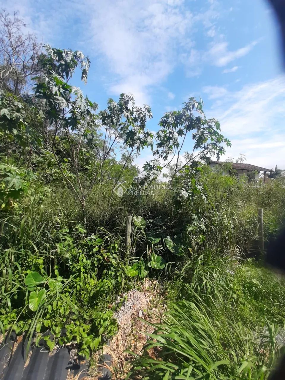 Terreno com 1060m² à venda em Campeche, Florianópolis. - Foto 2