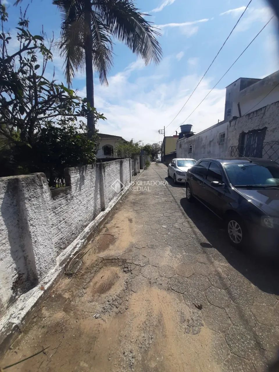 Terreno com 1060m² à venda em Campeche, Florianópolis. - Foto 3