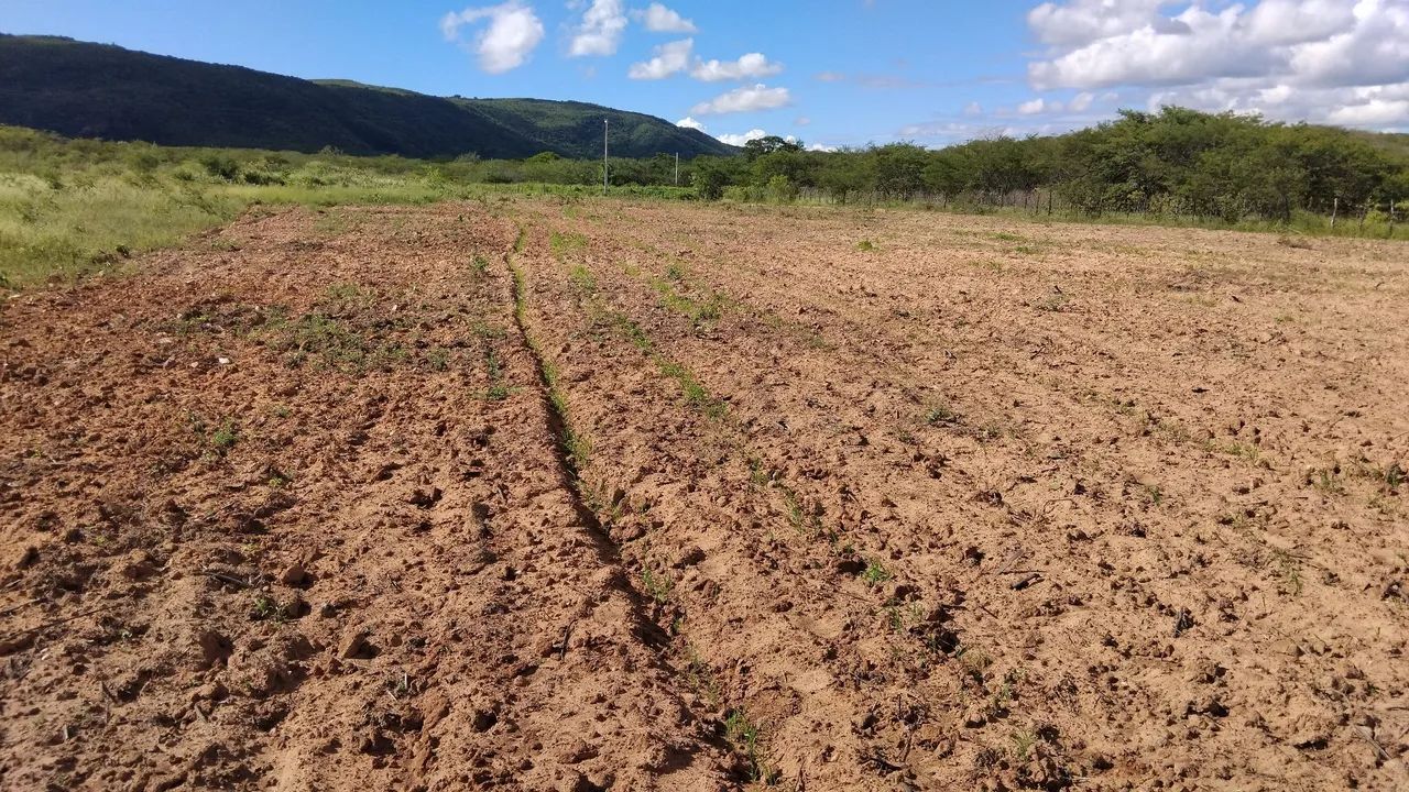 vendo propriedade margem de BR - Foto 3