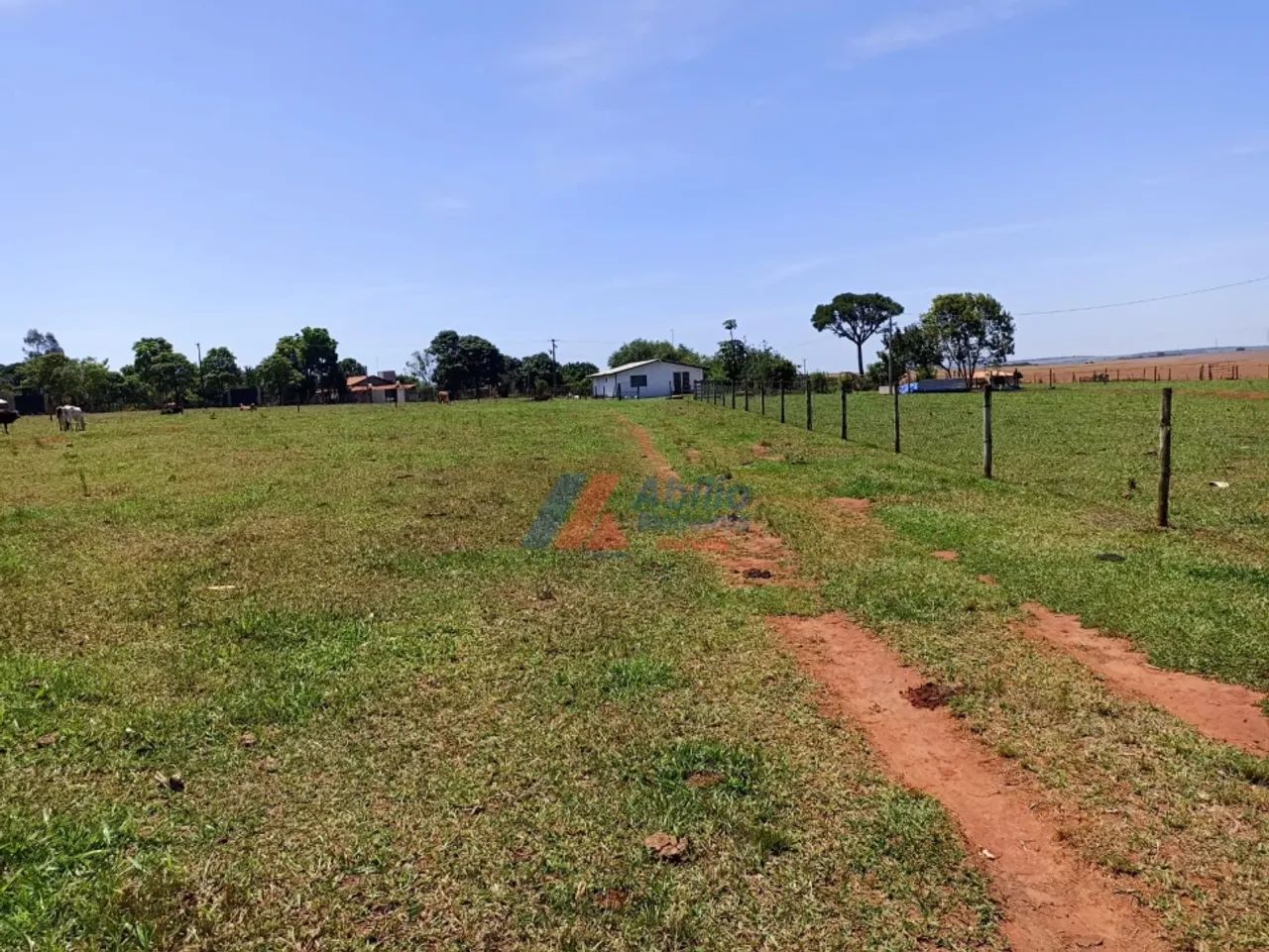 Chácara em Assis/SP - Foto 5