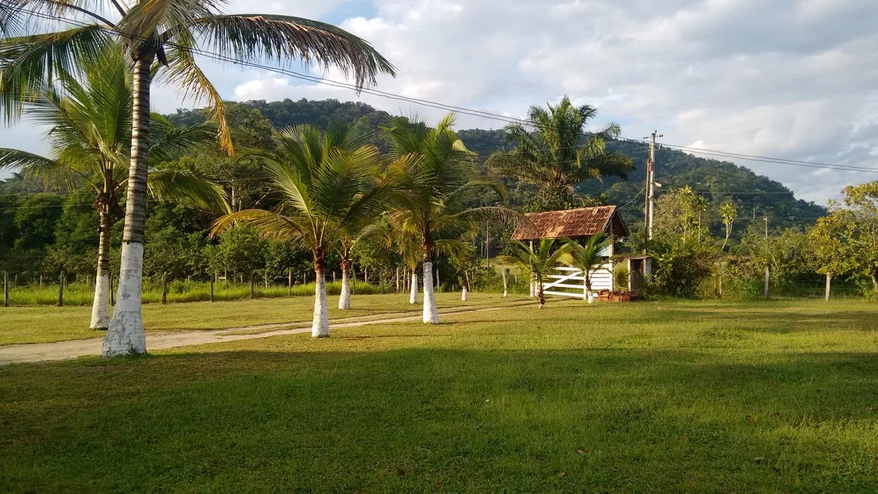 Vaga para trabalhar em sítio de caseiro  - Foto 4