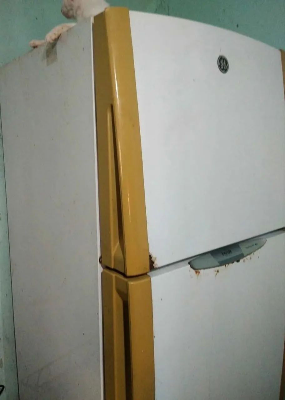 Geladeira Frost Free Duplex - Foto 2