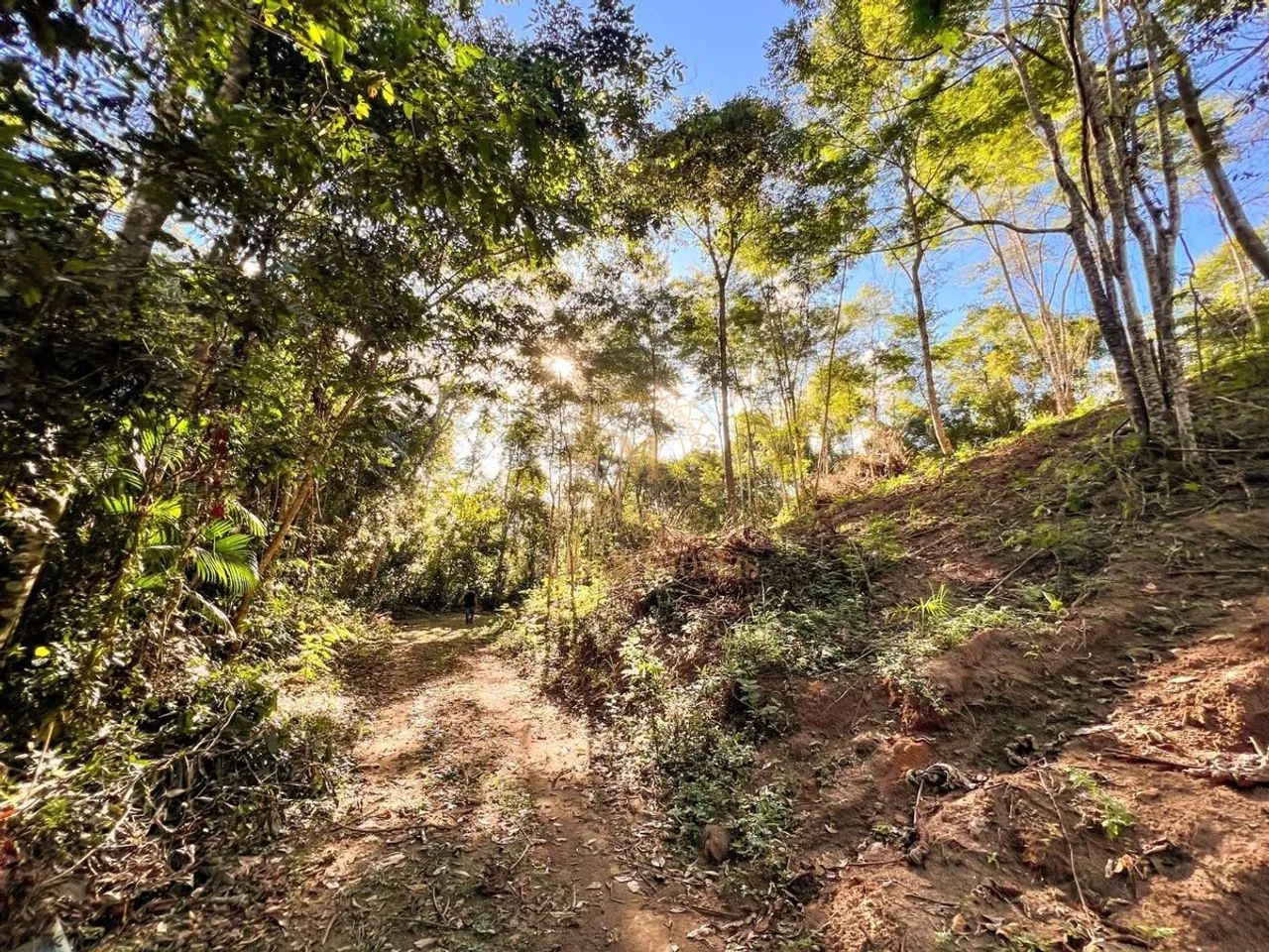 Terreno com cascata, nascente e lago de 20 mil metros em Domingos Martins - Foto 6