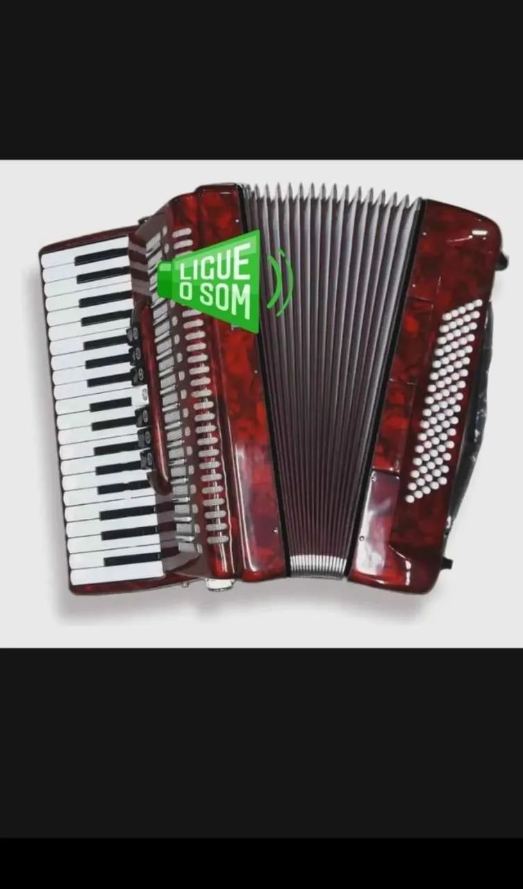 ACORDEON EAGLE 120 BAIXOS  - Foto 2