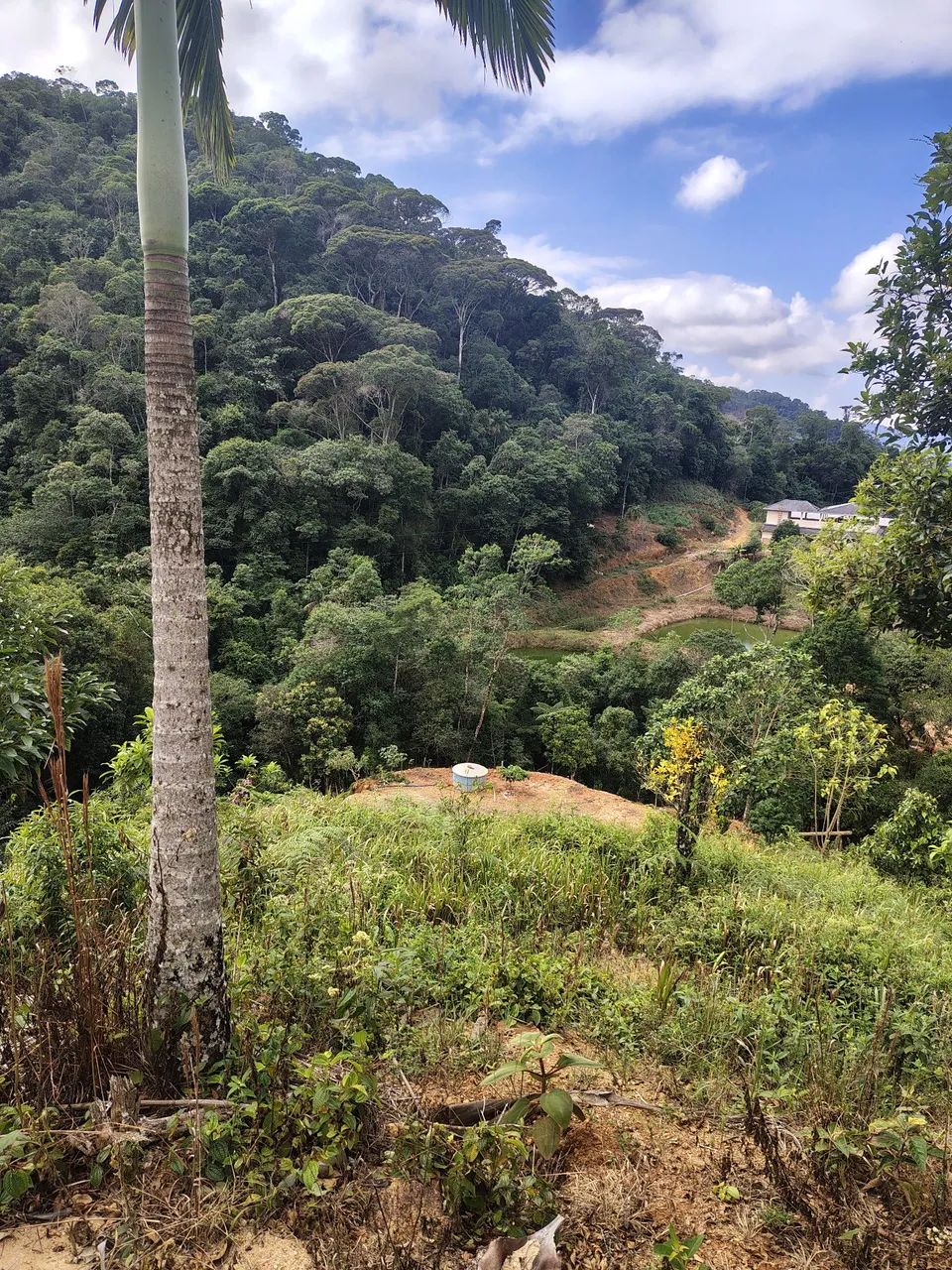 Sitio em Araguaia com cachoeira  - Foto 4