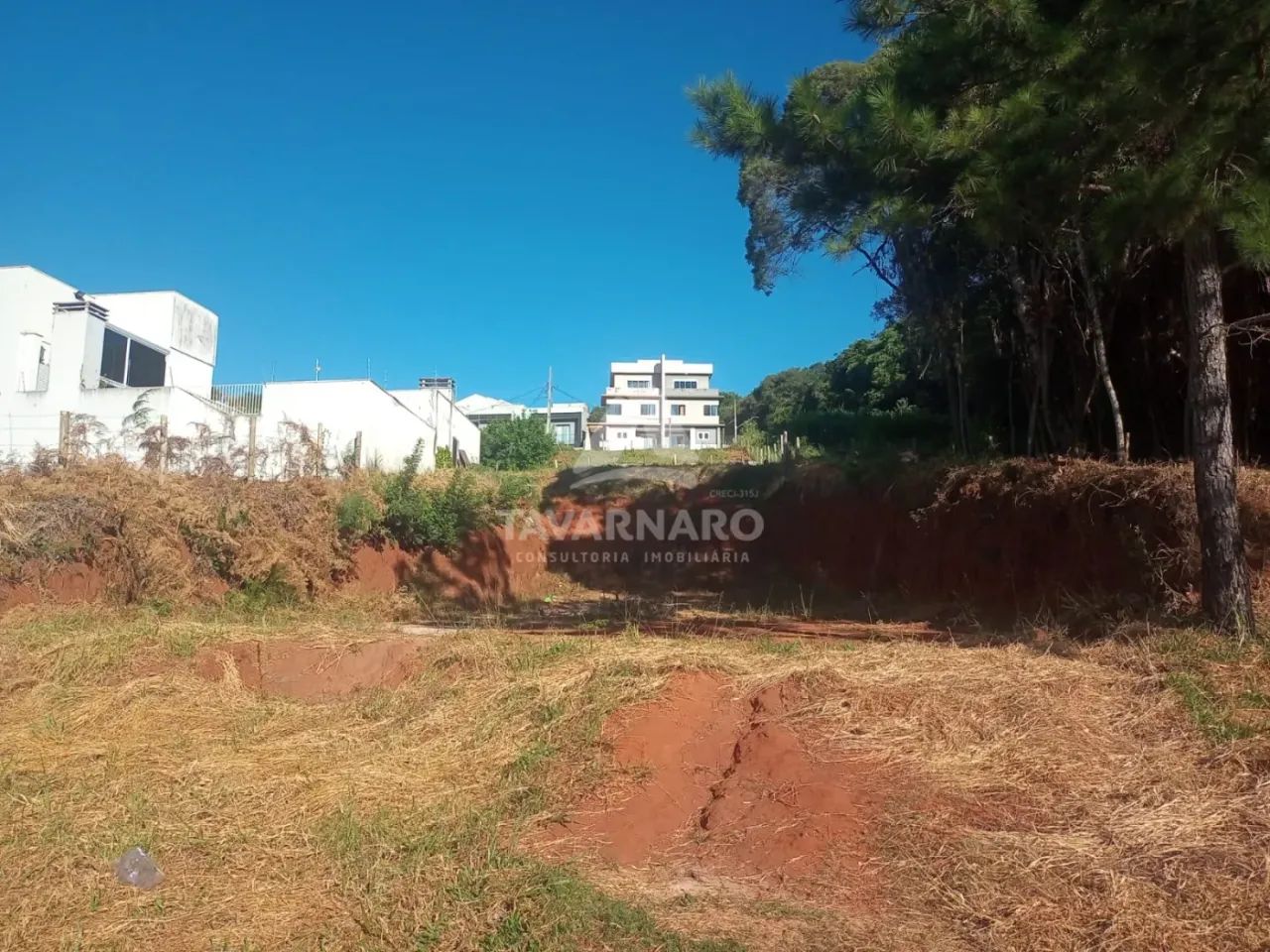 Terreno Padrão em Ponta Grossa - Foto 2