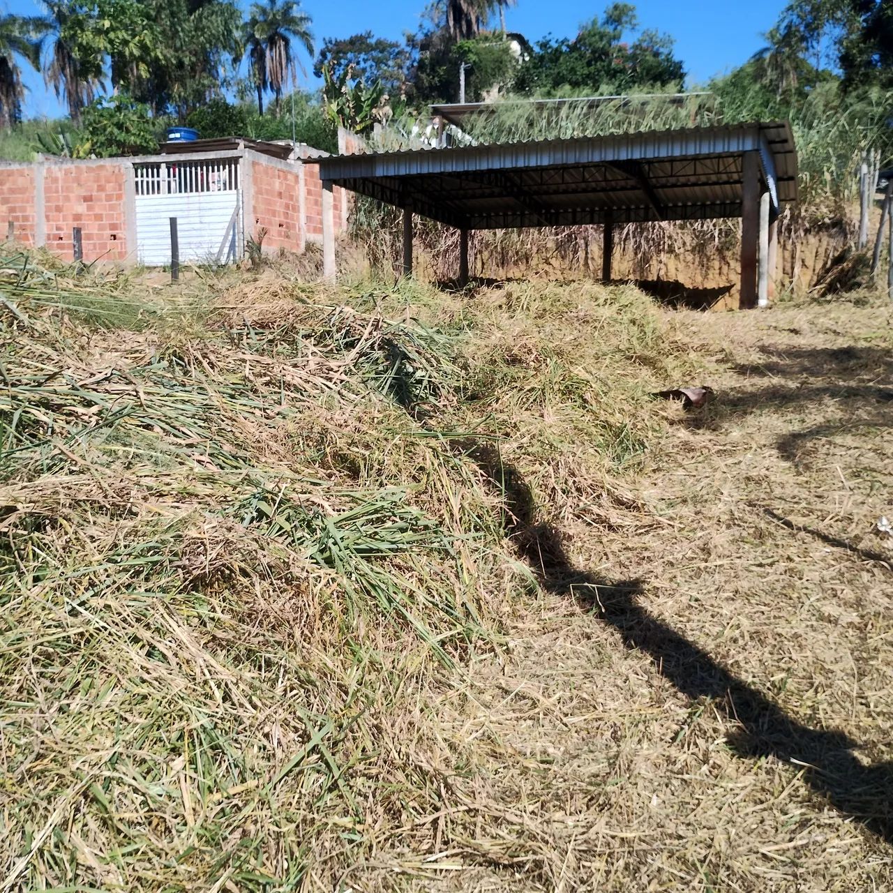 Terreno em Vargem Alegre - Foto 2
