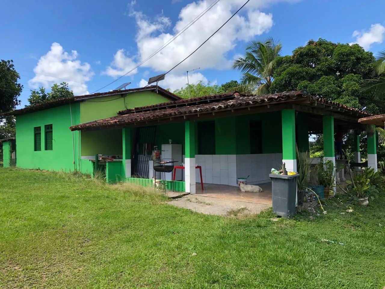 Fazenda Sossego - Palmares (BA) - Foto 2