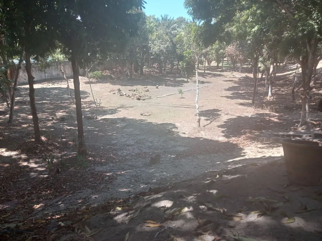 Trabalho com jardinagem
