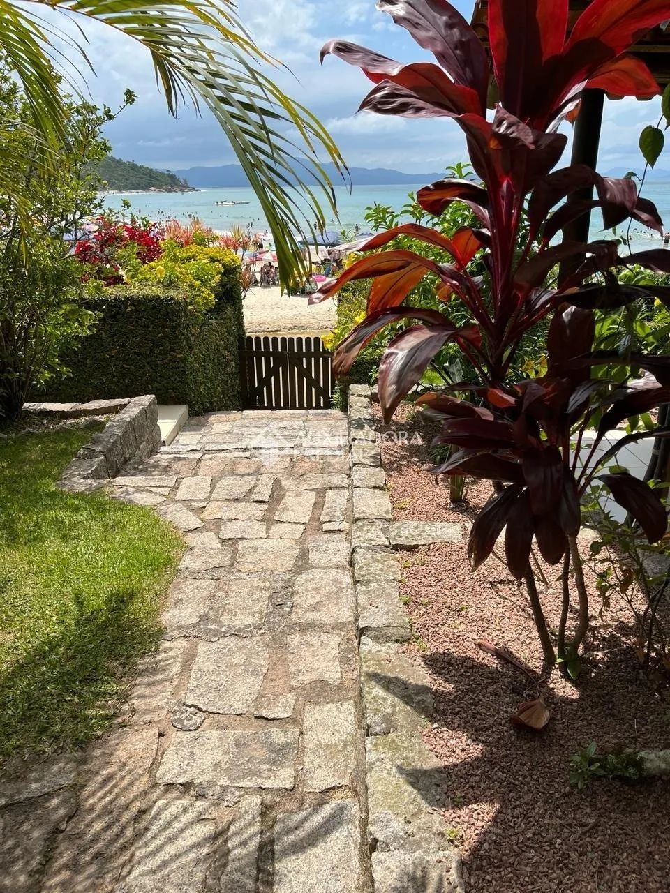 Casas com Vista Panorâmica em Ponta das Canas - Foto 4